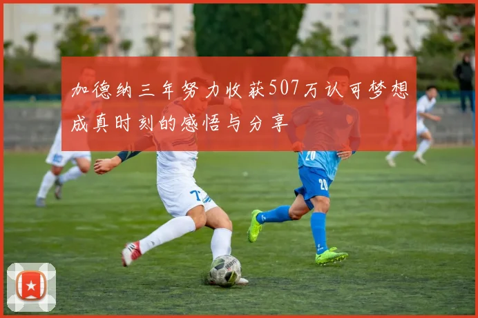 加德纳三年努力收获507万认可梦想成真时刻的感悟与分享