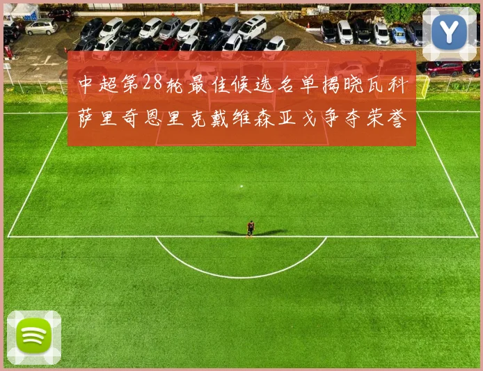 中超第28轮最佳候选名单揭晓瓦科萨里奇恩里克戴维森亚戈争夺荣誉